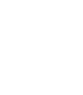 Shardvell logo